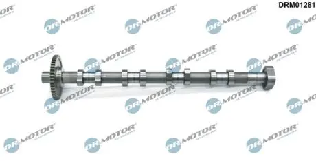 DRM01281 WAŁEK ROZRZĄDU WYD. VW PASSAT 1,8TSI 07- DR.MOTOR подбор по vin на Brocar