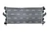 54202A CHŁODNICA CITROEN JUMPER 06- NRF підбір по vin на Brocar