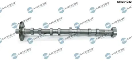 DRM01282 WAŁEK ROZRZĄDU VW DR.MOTOR подбор по vin на Brocar