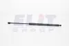 Газова пружина кришки багажника 620mm/225mm PEUGEOT PARTNER TEPEE  (8731S0) GS0684