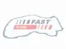 FT41602 ПРОКЛАДАННЯ МЕХАНІЗМУ ГРМ FORD TRANSIT 06&gt; 3.2 TDCi 08&gt; FAST підбір по vin на Brocar