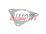 ПРОКЛАДКА ГЛУШИТЕЛЯ RENAULT MASTER 98> 1.9 DCI FT84814
