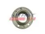 FT24060 СТУПИЦЯ КОЛІСА FIAT DUCATO 02&gt; ЗАД 18Q MAXI FAST підбір по vin на Brocar