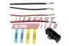 FT76105 Штекер FIAT Ducato 06-/ 14- Резистор Пічки FAST підбір по vin на Brocar