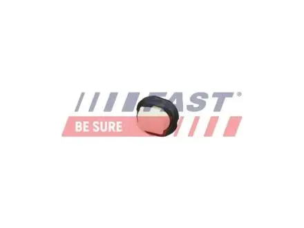 FT96300 КЛІПСА МОЛДИНГУ FAST підбір по vin на Brocar