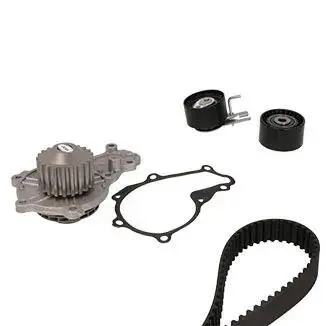 3008594 ROZRZAD KPL.Z POMPA CITROEN C3 1.4HDI 02 METELLI підбір по vin на Brocar