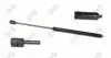 SPREZYNA GAZ POKR SILN MERCEDES C 01-07 10100670