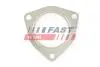 FT84593 Прокладка глушника IVECO DAILY 00&gt; DPF FAST підбір по vin на Brocar