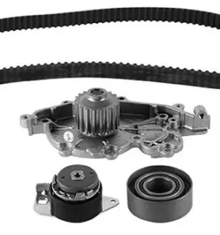 3007231 ROZRZAD KPL.Z POMPA RENAULT 2.2DT 05- METELLI підбір по vin на Brocar