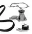 ROZRZAD KPL.Z POMPA FORD 1.25 03- 3006121