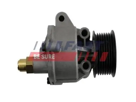 FT36063 Насос вакуумний FORD TRANSIT 06> FAST підбір по vin на Brocar