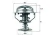 TX16482D Термостат, охлаждающая жидкость MAHLE / KNECHT підбір по vin на Brocar