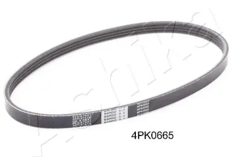 1124PK665 Поліклиновий ремінь ASHIKA підбір по vin на Brocar
