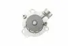 PA10244 Помпа води Audi A3/A6/A4/Skoda Octavia/VW Crafter/Caddy/T6/Passat/Golf 1.6/2.0TDI 13- (R/B)(7 лоп) BUGATTI підбір по vin на Brocar