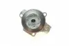 PA10244 Помпа води Audi A3/A6/A4/Skoda Octavia/VW Crafter/Caddy/T6/Passat/Golf 1.6/2.0TDI 13- (R/B)(7 лоп) BUGATTI підбір по vin на Brocar