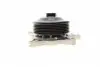 PA10211 Помпа воды BMW 3 (F30/F80/F34)/4 (F36/F33/F83)/5 (F10/F07/F11) 3.0D 10- (N57) (B/B)(6 лоп) BUGATTI підбір по vin на Brocar