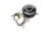 PA10211 Помпа воды BMW 3 (F30/F80/F34)/4 (F36/F33/F83)/5 (F10/F07/F11) 3.0D 10- (N57) (B/B)(6 лоп) BUGATTI підбір по vin на Brocar