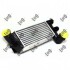 INTERCOOLER 0090180003