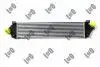 INTERCOOLER 0170180007