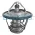 TERMOSTAT DT1228V