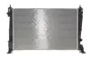 550005 Радіатор, система охолодження двигуна NRF підбір по vin на Brocar