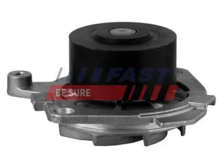 FT57106 Насос FAST подбор по vin на Brocar