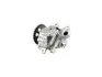 FT38318 Масляна помпа Ford Tranzit 2.2/2.4Tdci/PSA Boxer/Ducato/Jumper 2.2 Hdi/Multijet 06- FAST підбір по vin на Brocar
