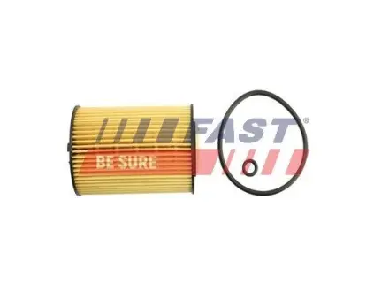 FT38098 Фільтр масляний 1.6TDI sk, 2.0TDI sk SKODA OCTAVIA A7 13-20 FAST підбір по vin на Brocar