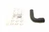 Патрубок інтеркулера Renault Kangoo 1.5dCi 08- (короткий) RWS2441