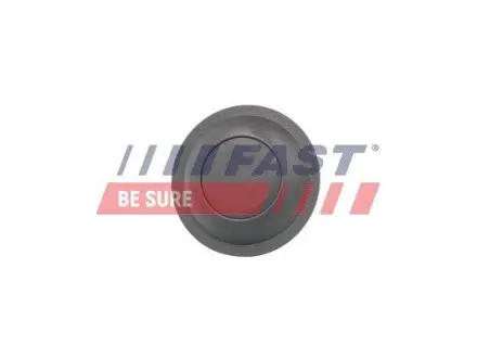 FT95590 Кнопка відкриття задніх дверей CITROEN Jumper 06-14; FIAT Ducato 06-н.в.; PEUGEOT Boxer 06-14 FAST підбір по vin на Brocar