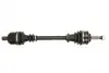 Вісь приводу передній ліва 617mm (dla pojazdów z ABS) RENAULT CLIO II, KANGOO 1.4/1.6 08.97- PNG72291