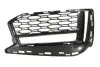 Решётка бампера przód P (plastik, чёрная) BMW 5 (G30) SEDAN 02.17- 6502070068912P