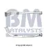 BM70130 Труба вихлопного газу BM CATALYSTS підбір по vin на Brocar