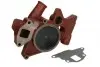 WPNH011 Водяна помпа THERMOTEC підбір по vin на Brocar