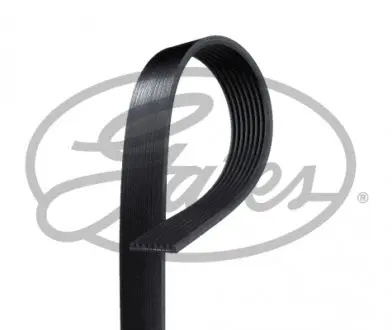 8PK1190HD Доріжковий пас GATES підбір по vin на Brocar