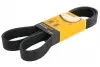 9PK1449 Дата: CONTITECH підбір по vin на Brocar