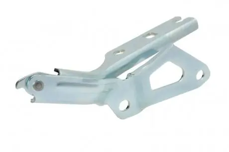 6802009588452P Елементи капоту BLIC підбір по vin на Brocar