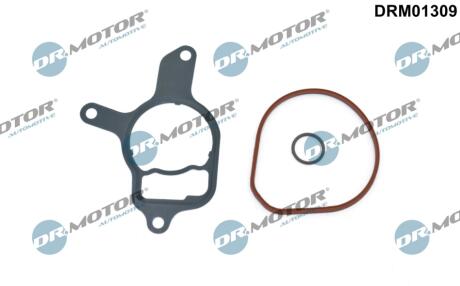 DRM01309 ZESTAW USZCZELEK POMPY PODCIŚNIENIA VW JETTA 2,5 08- DR.MOTOR підбір по vin на Brocar