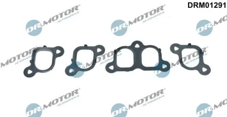 DRM01291 Комплект прокладок з різних матеріалів DR.MOTOR підбір по vin на Brocar