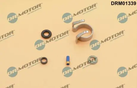 DRM01339 Комплект прокладок з різних матеріалів DR.MOTOR подбор по vin на Brocar
