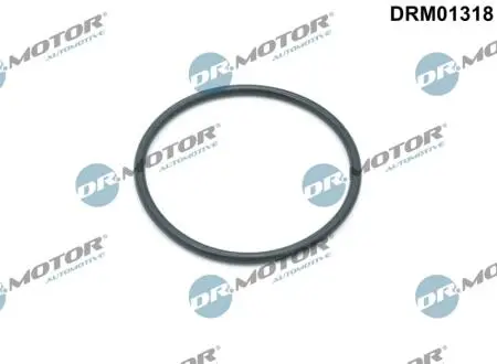 DRM01318 USZCZELKA PODSTAWY FILTRA OLEJU DR.MOTOR підбір по vin на Brocar