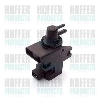 8029039 Клапан управління тиском Hoffer підбір по vin на Brocar