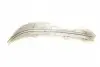 7016347 Скло фари BMW 5 (E39) 95-03 (L) AUTOTECHTEILE підбір по vin на Brocar