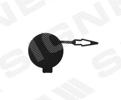 PPG99072CA ЗАГЛУШКА КРЮКА SIGNEDA подбор по vin на Brocar