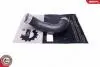 Патрубок интеркулера (R) MB E-class (W210) 3.2CDI 99-03 43SKV476