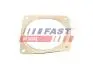 FT84815 ПРОКЛАДКА ГЛУШИТЕЛЯ FIAT SCUDO 07&gt; 2.0 JTD FAST підбір по vin на Brocar