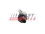 FT80801 Регулятор Тиску Палива FIAT Ducato 06- Пнвт 2.3 Jtd 11- FAST підбір по vin на Brocar