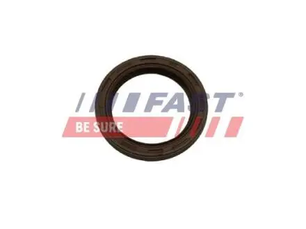FT49852 Дата: FAST підбір по vin на Brocar