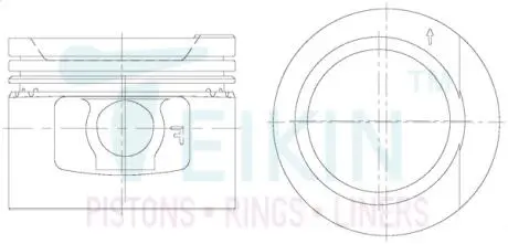48216050 Поршні +0.50mm (к-кт на двигун) VAG 1.8L ADD/ABS/ACC/ADZ/AAM/ANN/ADF/DR/EX/JN/ TEIKIN підбір по vin на Brocar