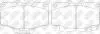 Колодки тормозные передние Toyota 4 Runner, Land Cruiser 70 PN1350